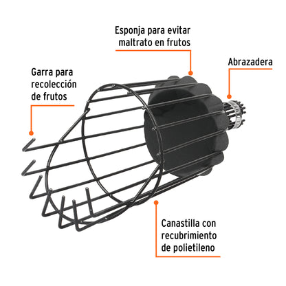 Recolector de fruta, sin mango